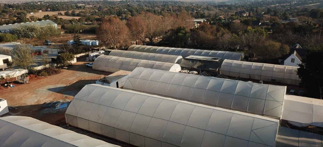 Ichthys Aquaponics Commercial Farm in JHB