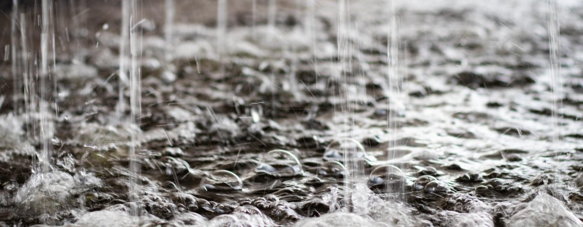 Aeration bubbles in the fish tank of an aquaponics system