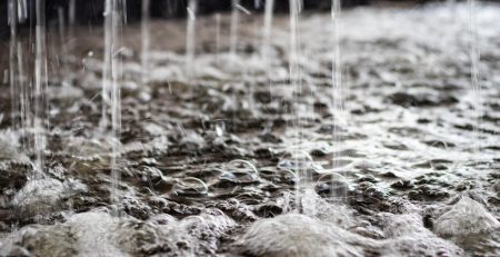 Aeration bubbles in the fish tank of an aquaponics system