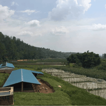 rwanda