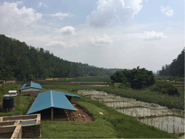 rwanda