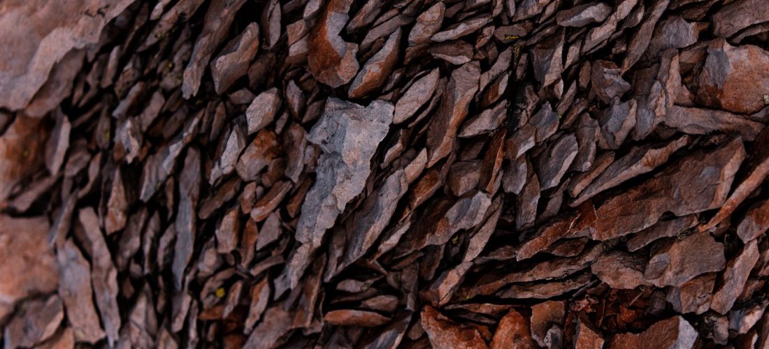 Expanded Shale as a type of grow media in aquaponics