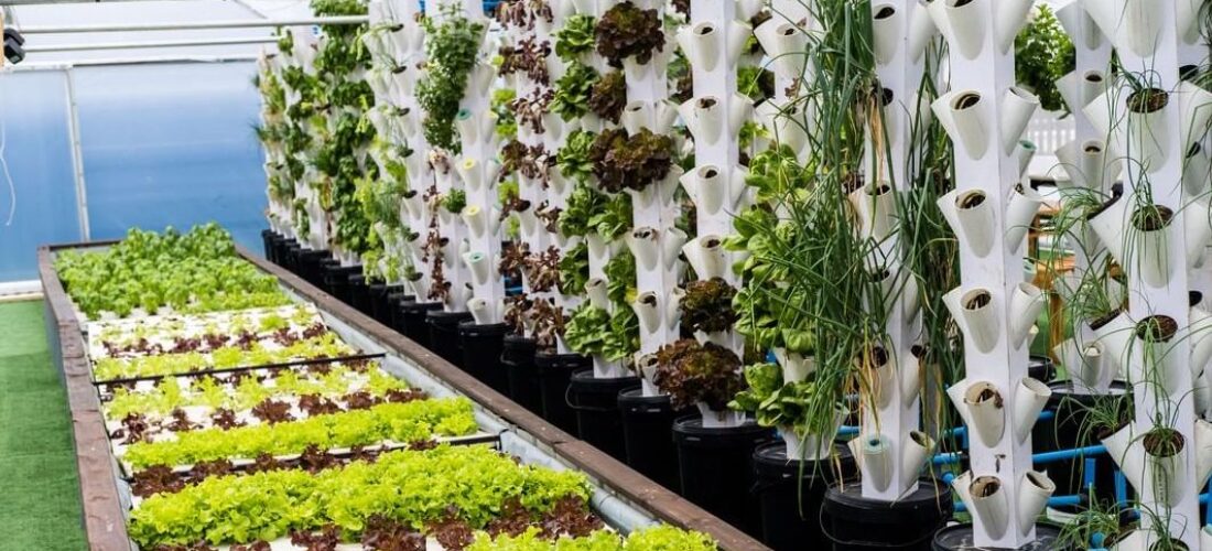 Deep Water Culture and Vertical Aquaponic System Design