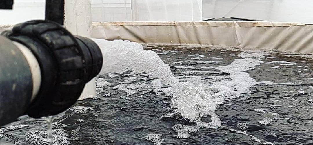 Water pumping into an aquaponics fish tank