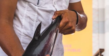 Man holding a fish