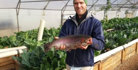 Trout in Aquaponics