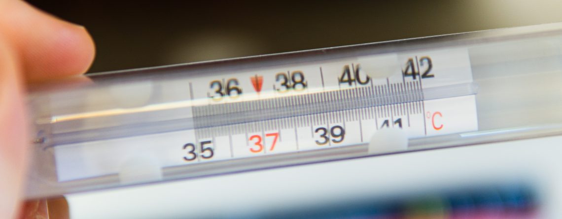 A thermometer to measure the temperature of an aquaponics system