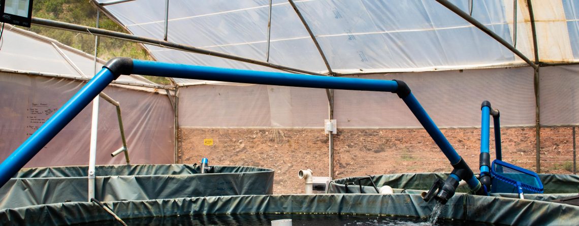 Cooling Shower for Temperature Management in Aquaponics