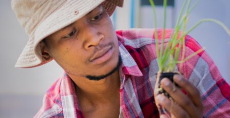 Farmer inspecting a plant from his hydroponic component of his Aquaponics System