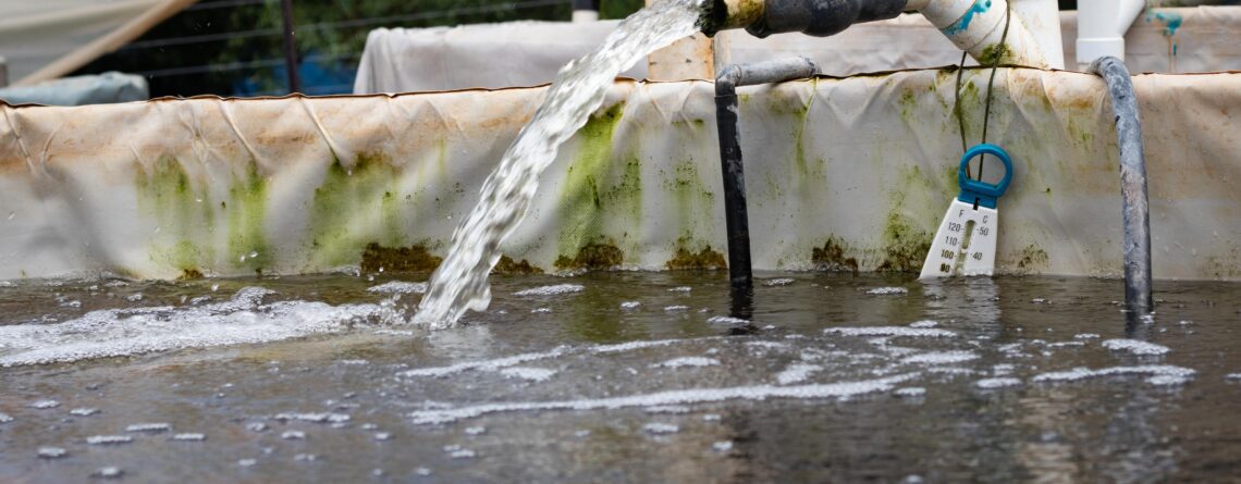 Water Flow Rate into Fish Tank in Aquaponics