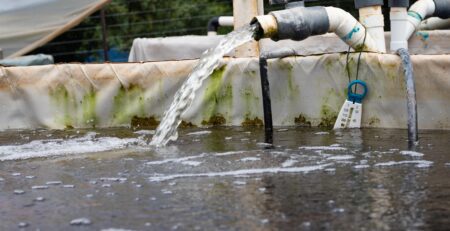 Water Flow Rate into Fish Tank in Aquaponics