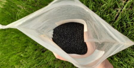 Hand holding a packet of seeds with a grassy background