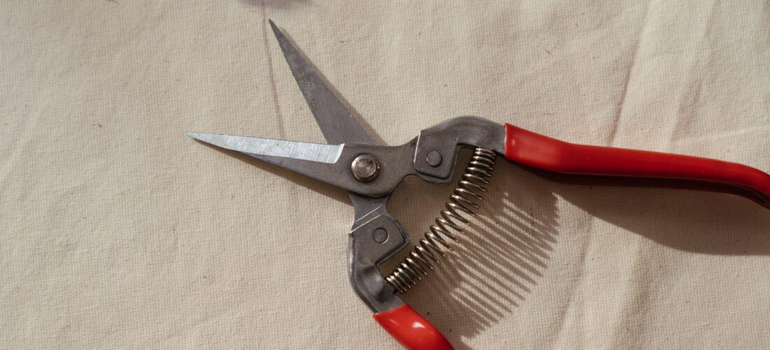 Clippers for Pruning in Aquaponics