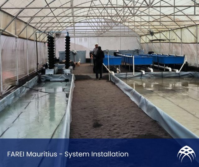 FARAEI Aquaponics Mauritius - Installation