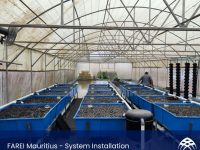 FARAEI Aquaponics Mauritius - Installation
