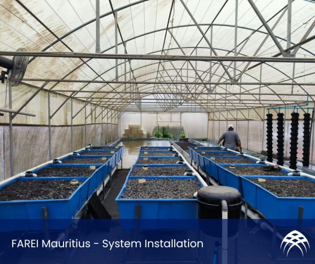 FARAEI Aquaponics Mauritius - Installation